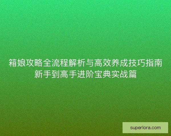 箱娘攻略全流程解析与高效养成技巧指南新手到高手进阶宝典实战篇